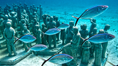 IRIS spring meeting in Cancun – April 2015